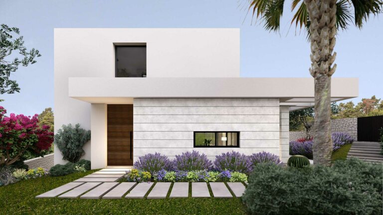 Madre Selva proyecto